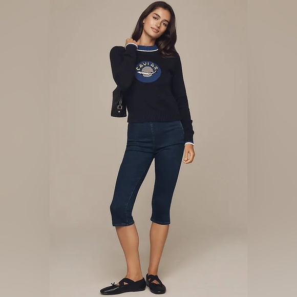 $348! Anthropologie & RACHEL ANTONOFF Tarsia Sweater 2X NWT - Picture 5 of 7